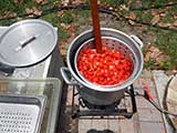 Making tomato juice