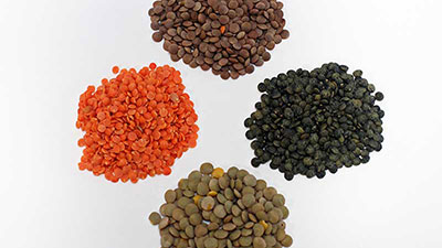 Lentils - green, red, brown and French.
