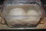 Cover the dough in water and leave it in the refrigerator overnight.